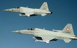 [ẢNH] F-5E Tiger II Thụy Sĩ đâm vào núi khi tập không chiến