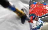 [ẢNH] Ông Biden điều tra nguồn gốc Covid-19, nghi ngờ virus lọt ra từ phòng thí nghiệm lại dấy lên