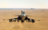 [ẢNH] Đáng sợ khi hệ thống SPECTRA của Rafale có thể vô hiệu hoá gọn ghẽ Su-35