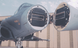 [ẢNH] Đáng sợ khi hệ thống SPECTRA của Rafale có thể vô hiệu hoá gọn ghẽ Su-35