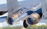 [ẢNH] Hầu hết Su-35 Nga không được trang bị động cơ lực đẩy 3D?