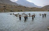 [ANH] Giao tranh dữ dội giữa Taliban và FANR tiếp tục diễn ra tại Panjshir
