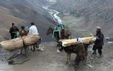 [ẢNH] Sau khi 'thắng như chẻ tre', Taliban lại gặp sai lầm nghiêm trọng tại Panjshir
