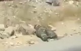 [ẢNH] Sau khi 'thắng như chẻ tre', Taliban lại gặp sai lầm nghiêm trọng tại Panjshir