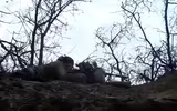 [ẢNH] Ukraine tố lính bắn tỉa Nga tới Donbass, Moscow phủ nhận hoàn toàn