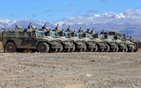 Quân đội Ukraine biên chế ngay thiết giáp Tiger-M thu được để đối phó Nga