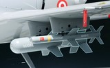 Vội rút chạy, quân đội Ukraine đã bỏ lại tên lửa sát thủ MAM-L cho Nga