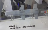 Vội rút chạy, quân đội Ukraine đã bỏ lại tên lửa sát thủ MAM-L cho Nga