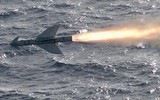 Ukraine sẽ nhận tên lửa diệt hạm AGM-119 Penguin từ Na Uy?