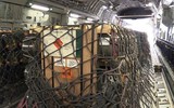 Bắn hạ máy bay chở vũ khí phương Tây cho Ukraine, Nga ngày càng mạnh tay hơn