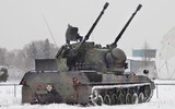 Pháo phòng không Đức chuẩn bị cung cấp cho Ukraine nguy hiểm cỡ nào?