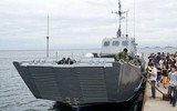 Ukraine chiếu cảnh UAV Bayraktar TB2 tập kích phá hủy tàu đổ bộ Nga ở đảo Rắn