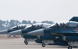 'Sát thần' Mitsubishi F-2 trước cơ hội lần đầu tiên được Nhật Bản xuất khẩu