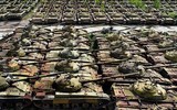 Nga tự tin khi cho xe tăng cổ lỗ T-62M đội 'mũ sắt' để tham chiến tại Ukraine?