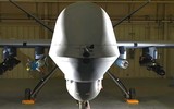 Trùm khủng bố Al Qaeda mất mạng bởi tên lửa Hellfire R9X gắn 6 lưỡi dao thép