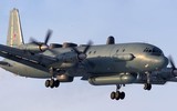 Trinh sát cơ IL-20M Nga bất ngờ bị ‘chim ăn thịt’ F-22 Raptor Mỹ áp sát 