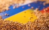 Ông Putin nói thỏa thuận ngũ cốc Ukraine là 'trò lừa bịp'