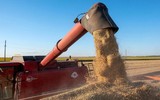 Ông Putin nói thỏa thuận ngũ cốc Ukraine là 'trò lừa bịp'