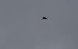 Nỗi lo của Ukraine khi UAV tự sát của Iran cung cấp cho Nga liên tục lập công