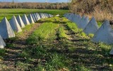 Phương Tây hoài nghi về tuyến phòng thủ 'răng rồng' Nga thiết lập tại Ukraine