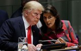 Cựu đại sứ Mỹ tại LHQ Nikki Haley tranh cử ghế tổng thống, đối đầu với ông Trump