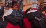 Thi hài nữ tu sĩ Mỹ còn nguyên vẹn sau 4 năm qua đời