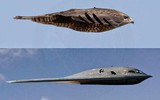 Máy bay ném bom 'Bóng ma' B-2 Mỹ bay 37 giờ liên tục để tập kích Iran