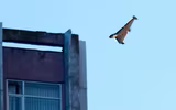 Nga sản xuất hàng nghìn UAV mỗi tháng, tạo áp lực lớn lên phòng không Ukraine