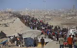 Niềm vui về nhà của người dân Gaza sau khi Israel - Hamas ngừng bắn