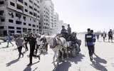 Niềm vui về nhà của người dân Gaza sau khi Israel - Hamas ngừng bắn