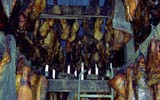 [Ảnh] Sâu thẳm dưới đáy đại dương là loại thuỷ quái cổ xưa, tuy mù loà nhưng tuổi cực thọ