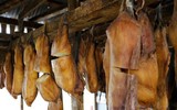 [Ảnh] Sâu thẳm dưới đáy đại dương là loại thuỷ quái cổ xưa, tuy mù loà nhưng tuổi cực thọ