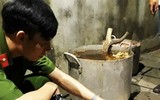 [Ảnh] Vạch rõ trò bịp bợm về những mẻ cao hổ cốt quý hiếm dành cho giới đại gia