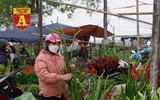 Mộc mạc và đầy sắc màu chợ hoa quê ngày giáp Tết