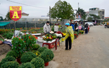 Mộc mạc và đầy sắc màu chợ hoa quê ngày giáp Tết
