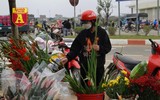 Mộc mạc và đầy sắc màu chợ hoa quê ngày giáp Tết