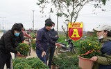 Mộc mạc và đầy sắc màu chợ hoa quê ngày giáp Tết