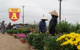 Mộc mạc và đầy sắc màu chợ hoa quê ngày giáp Tết