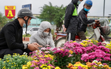 Mộc mạc và đầy sắc màu chợ hoa quê ngày giáp Tết