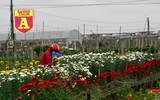 Mộc mạc và đầy sắc màu chợ hoa quê ngày giáp Tết