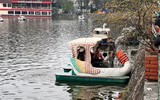 Vừa vui chơi vừa tránh dịch, người Hà Nội đổ đi ‘đạp vịt’ mùng 5 Tết