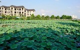 Không gian Hồ Tây có thêm đoạn đường mới khang trang
