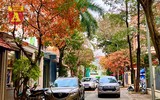 Hà Nội đầy sắc màu mùa lộc vừng trút lá
