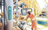 Tổ chức OPEC nhận 'gáo nước lạnh' từ Guyana