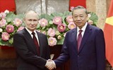 Chủ tịch nước Tô Lâm hội đàm với Tổng thống Liên bang Nga Vladimir Putin