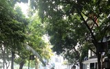  Nỗ lực phòng ngừa lây lan dịch Covid-19 tại các điểm công cộng