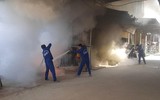 Cuộc xuất quân đầu tiên của 