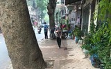 Tuyên truyền nhắc nhở hộ kinh doanh không lấn chiếm vỉa hè, phố hoa cây cảnh trên đường Hoàng Hoa Thám