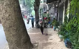 Tuyên truyền nhắc nhở hộ kinh doanh không lấn chiếm vỉa hè, phố hoa cây cảnh trên đường Hoàng Hoa Thám