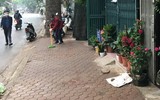 Tuyên truyền nhắc nhở hộ kinh doanh không lấn chiếm vỉa hè, phố hoa cây cảnh trên đường Hoàng Hoa Thám